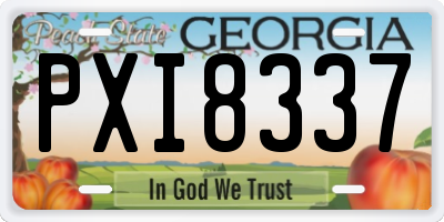 GA license plate PXI8337