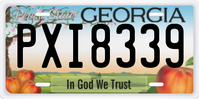 GA license plate PXI8339