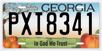 GA license plate PXI8341