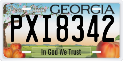 GA license plate PXI8342