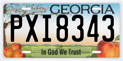 GA license plate PXI8343
