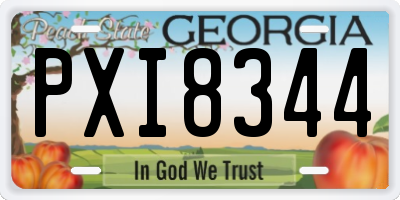 GA license plate PXI8344