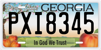 GA license plate PXI8345