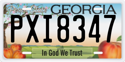 GA license plate PXI8347