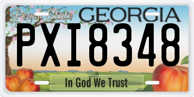 GA license plate PXI8348
