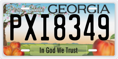 GA license plate PXI8349