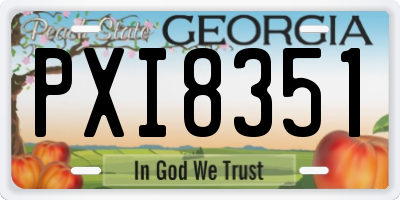 GA license plate PXI8351