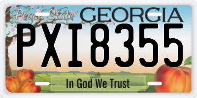 GA license plate PXI8355