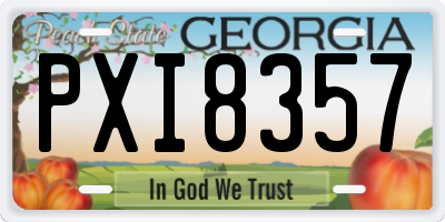 GA license plate PXI8357