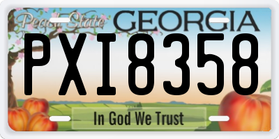 GA license plate PXI8358