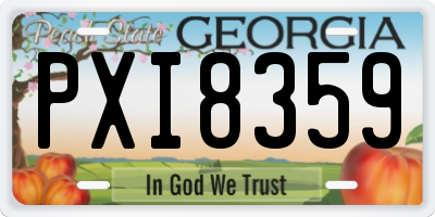 GA license plate PXI8359