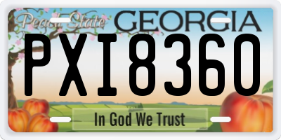 GA license plate PXI8360