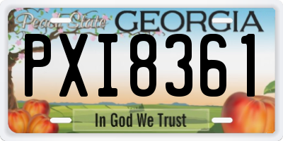 GA license plate PXI8361