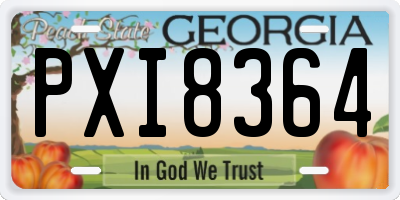 GA license plate PXI8364