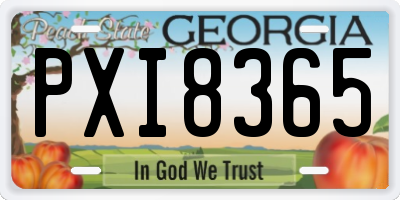 GA license plate PXI8365