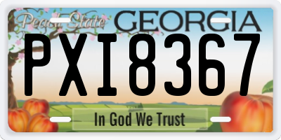 GA license plate PXI8367