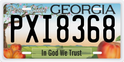 GA license plate PXI8368