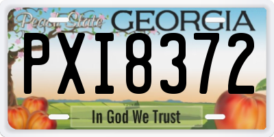 GA license plate PXI8372