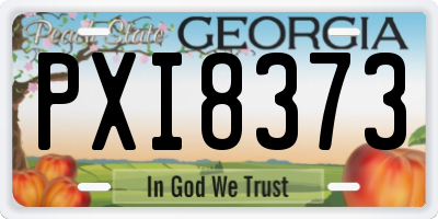 GA license plate PXI8373