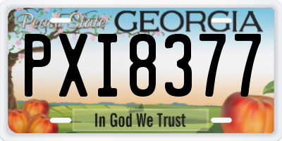 GA license plate PXI8377