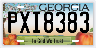 GA license plate PXI8383