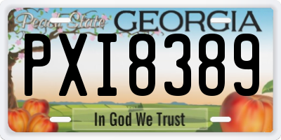 GA license plate PXI8389