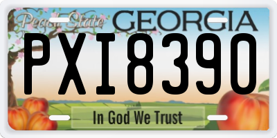 GA license plate PXI8390