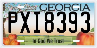 GA license plate PXI8393