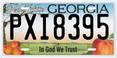 GA license plate PXI8395