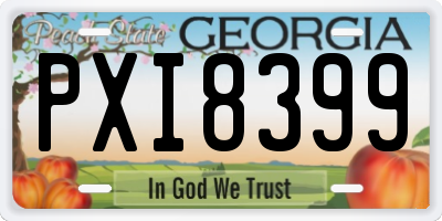 GA license plate PXI8399