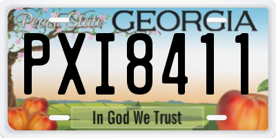 GA license plate PXI8411