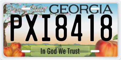 GA license plate PXI8418
