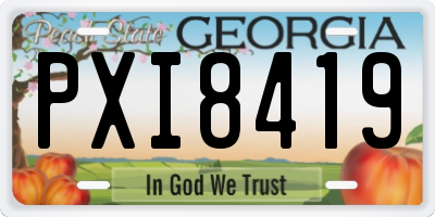 GA license plate PXI8419