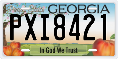 GA license plate PXI8421