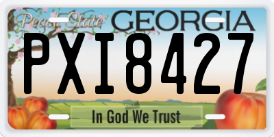 GA license plate PXI8427