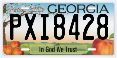 GA license plate PXI8428