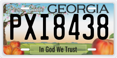 GA license plate PXI8438