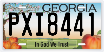 GA license plate PXI8441
