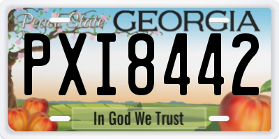 GA license plate PXI8442