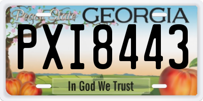 GA license plate PXI8443