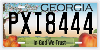 GA license plate PXI8444