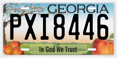 GA license plate PXI8446