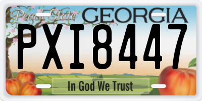 GA license plate PXI8447