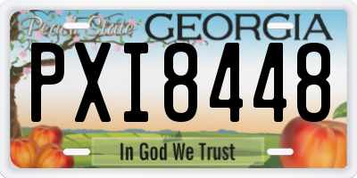 GA license plate PXI8448