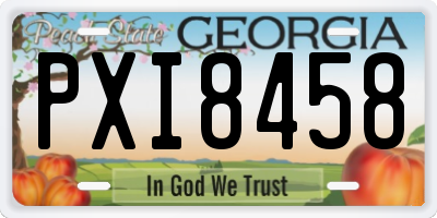 GA license plate PXI8458