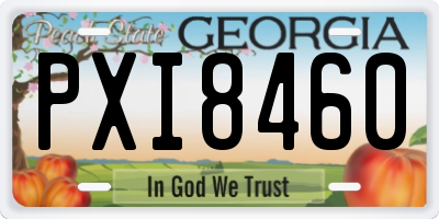 GA license plate PXI8460