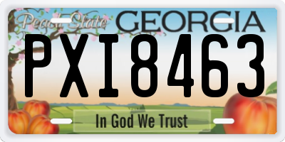 GA license plate PXI8463