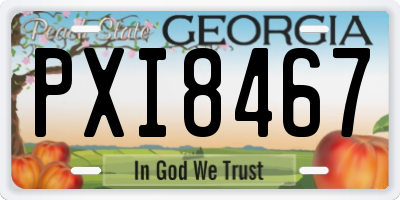GA license plate PXI8467