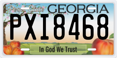 GA license plate PXI8468