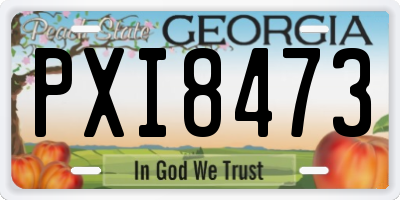 GA license plate PXI8473